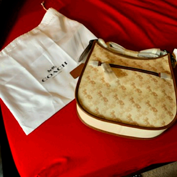Jordan Shoes - Coach purse,Guess purse,Womans Air Jordans 8 Retro